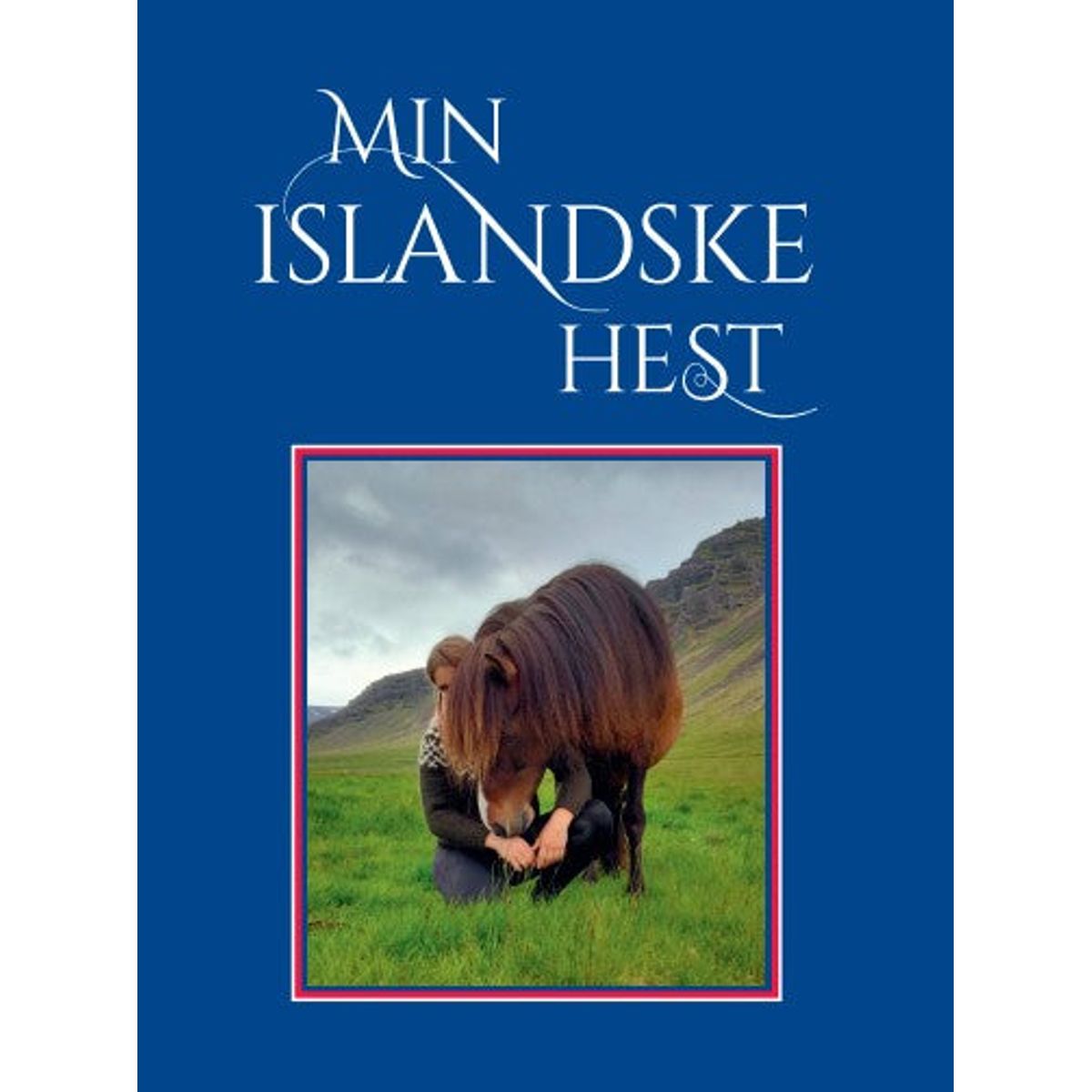 Min islandske hest