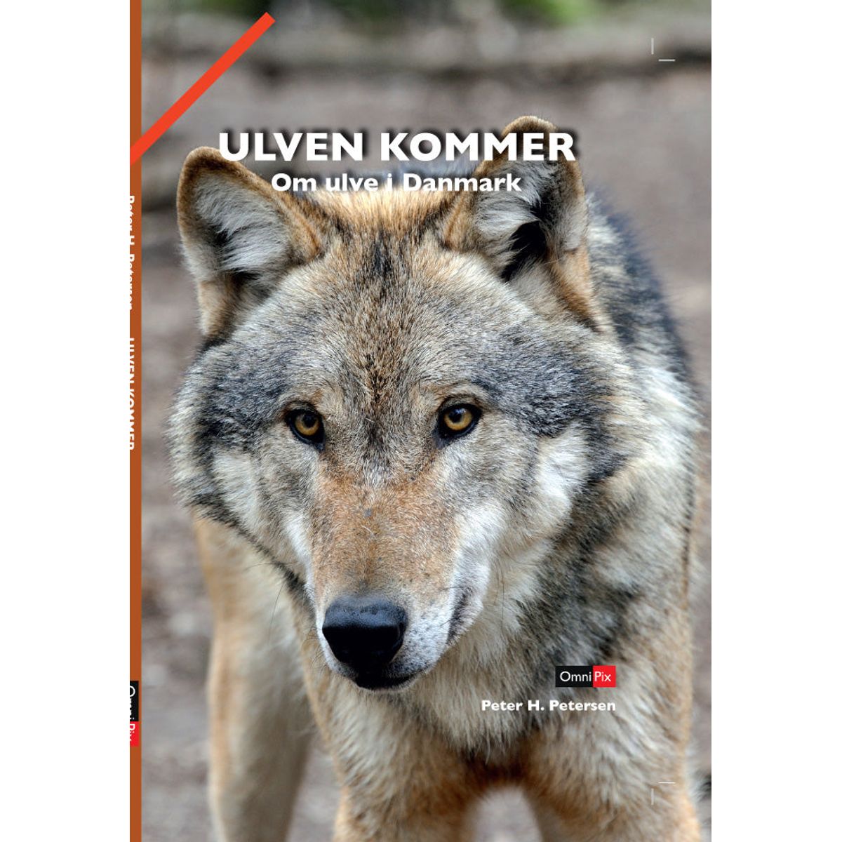 Ulven kommer