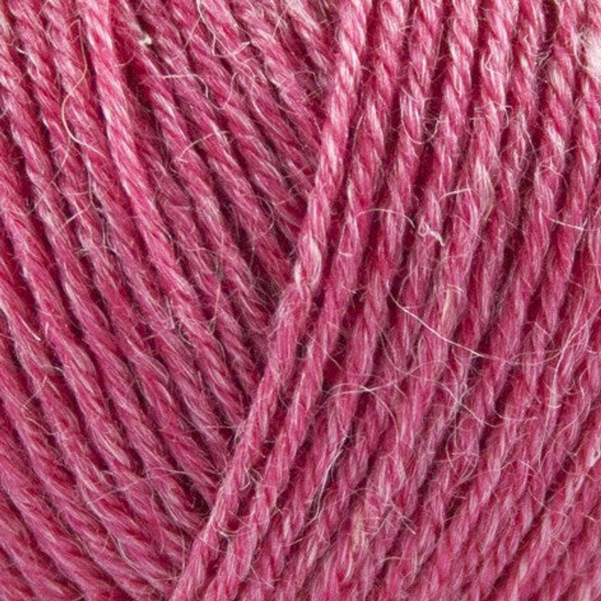 Onion Nettle Sock Yarn