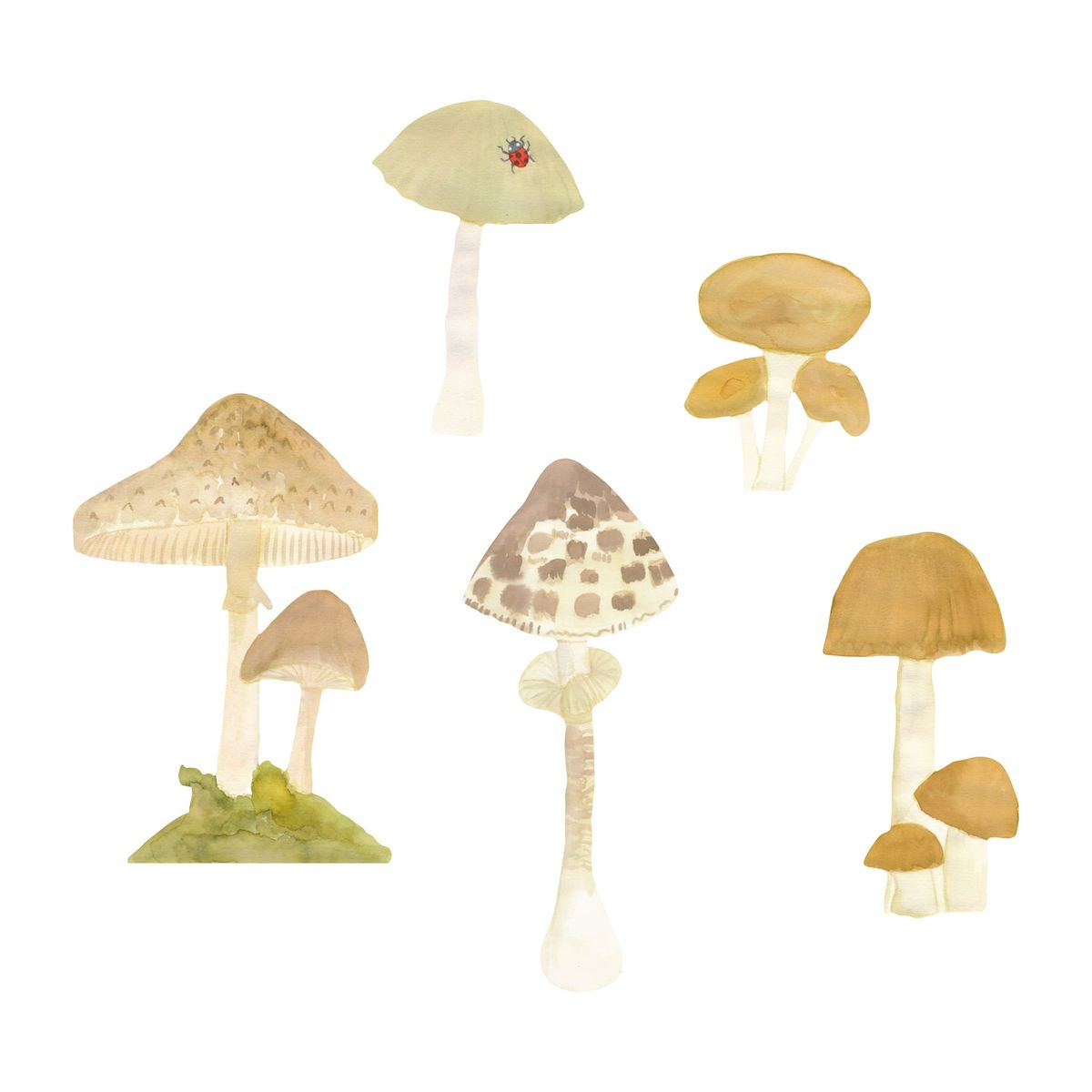 That's Mine - Wallsticker Forest mushrooms 5-pack - Multi