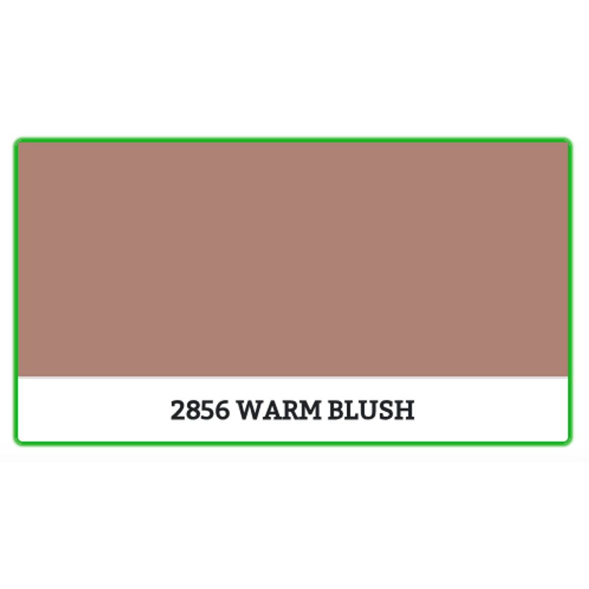 2856 - WARM BLUSH - 9 L - Maling