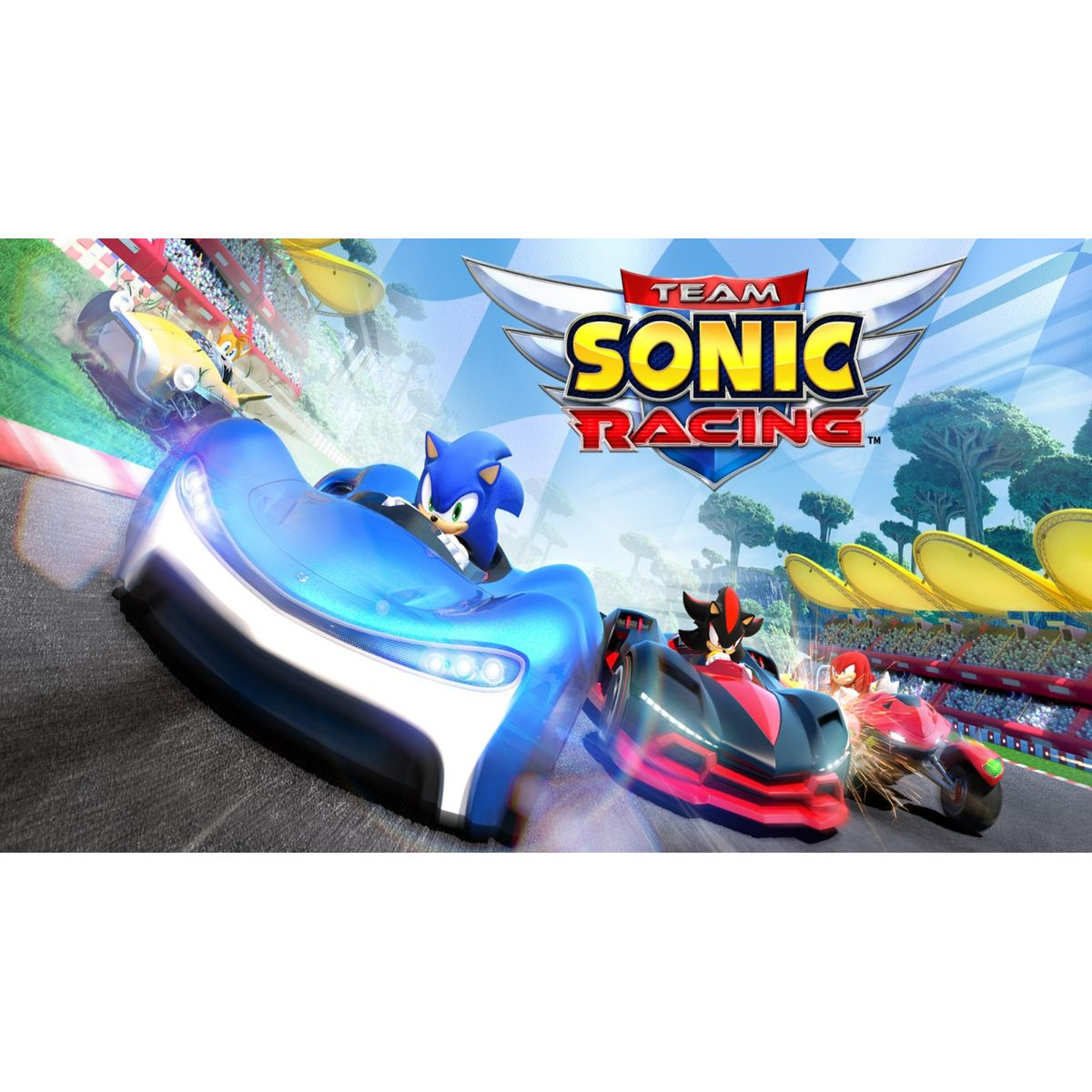 Team Sonic Racing Nintendo - CD Key - EZGame.dk