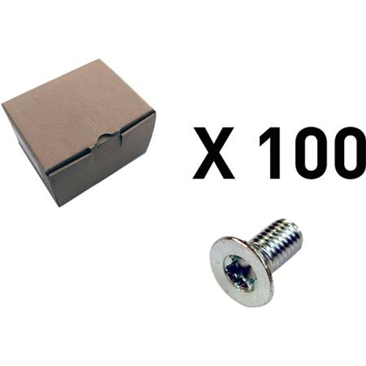 100 Skrue, Undersænket, Torx.