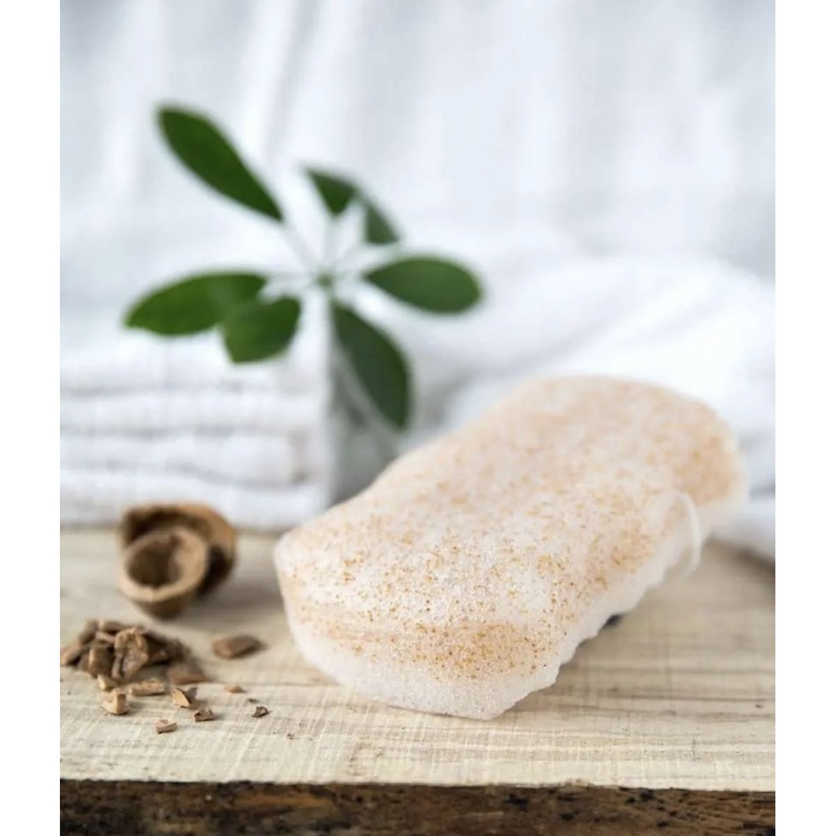 Organic Konjac Valnød body svamp