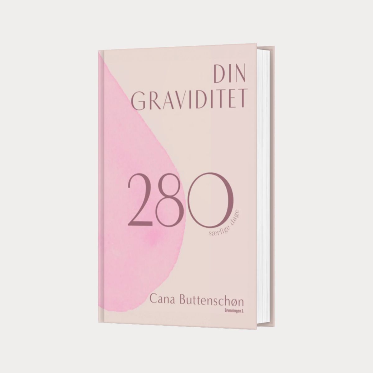 DIN GRAVIDITET - 280 særlige dage