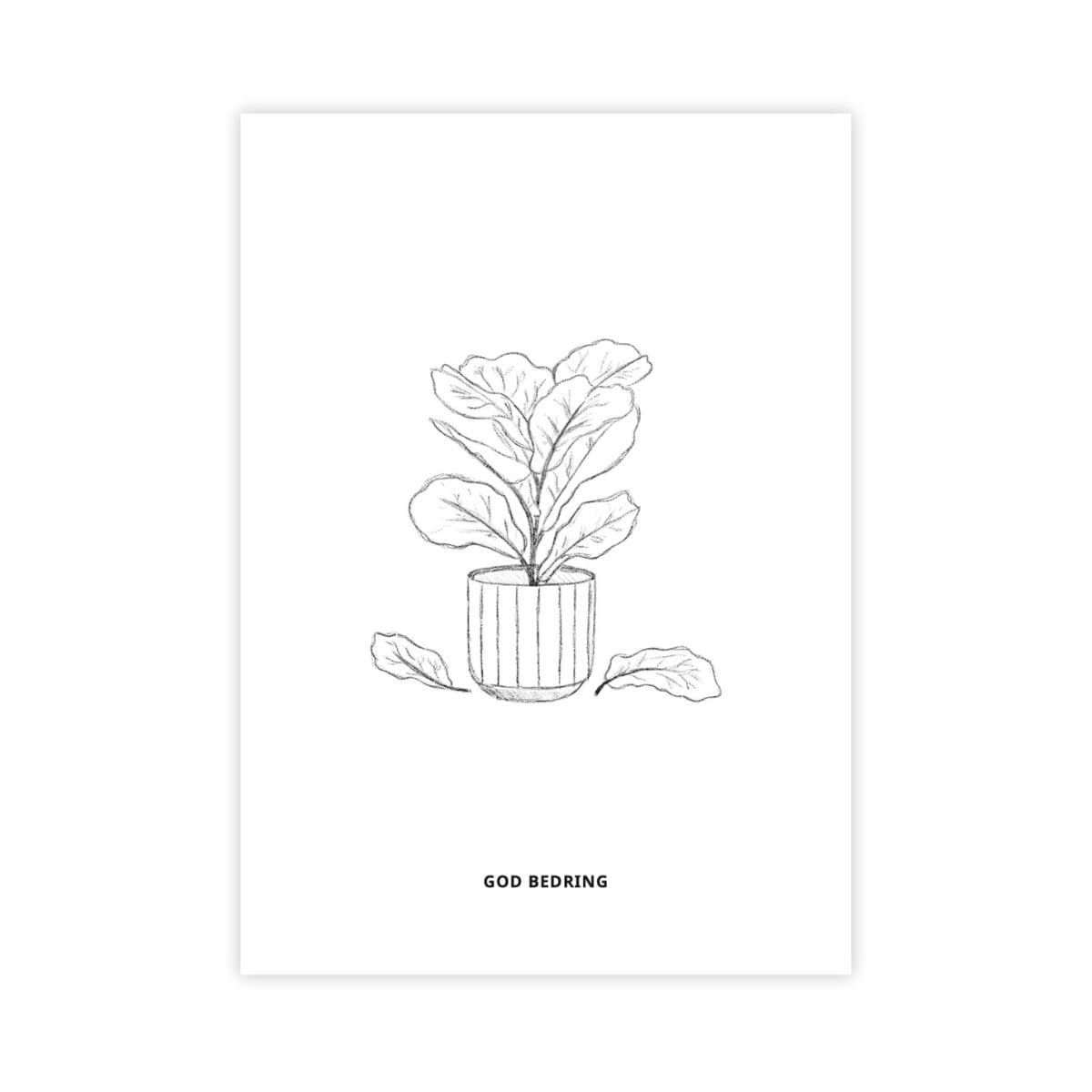 God bedring | Plante