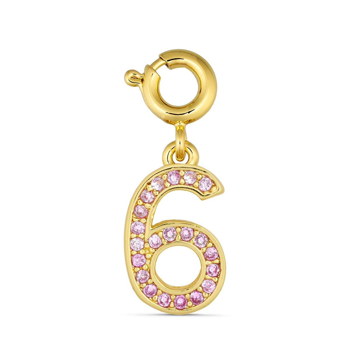 ANNEBRAUNER Number 6 Charm