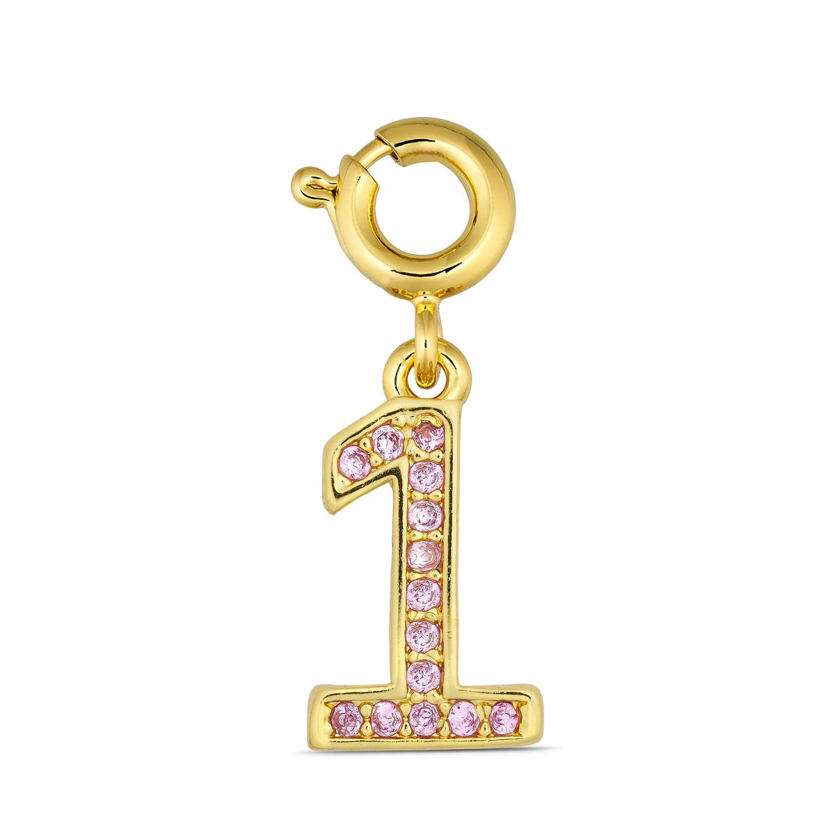 ANNEBRAUNER Number 1 Charm