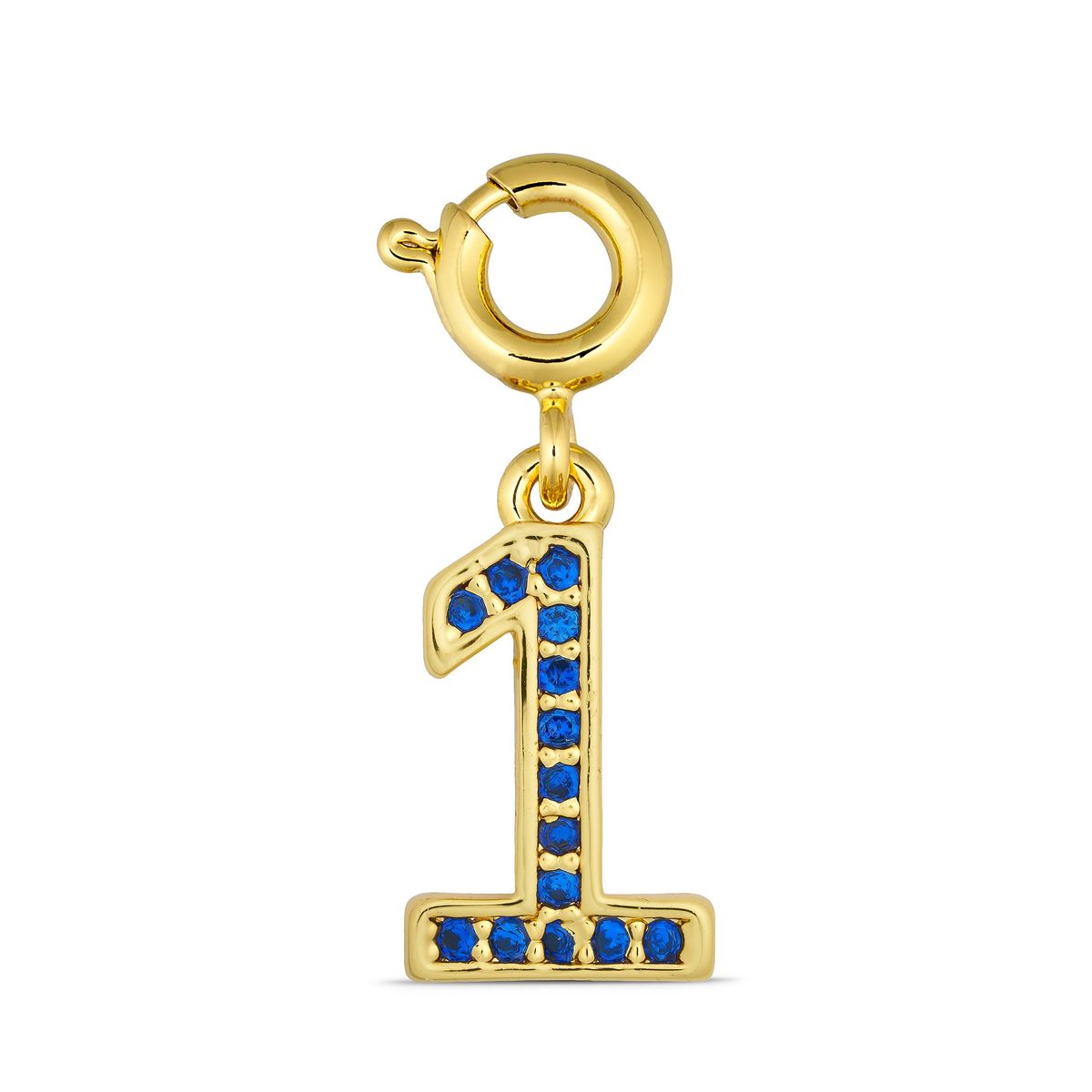 ANNEBRAUNER Number 1 Charm