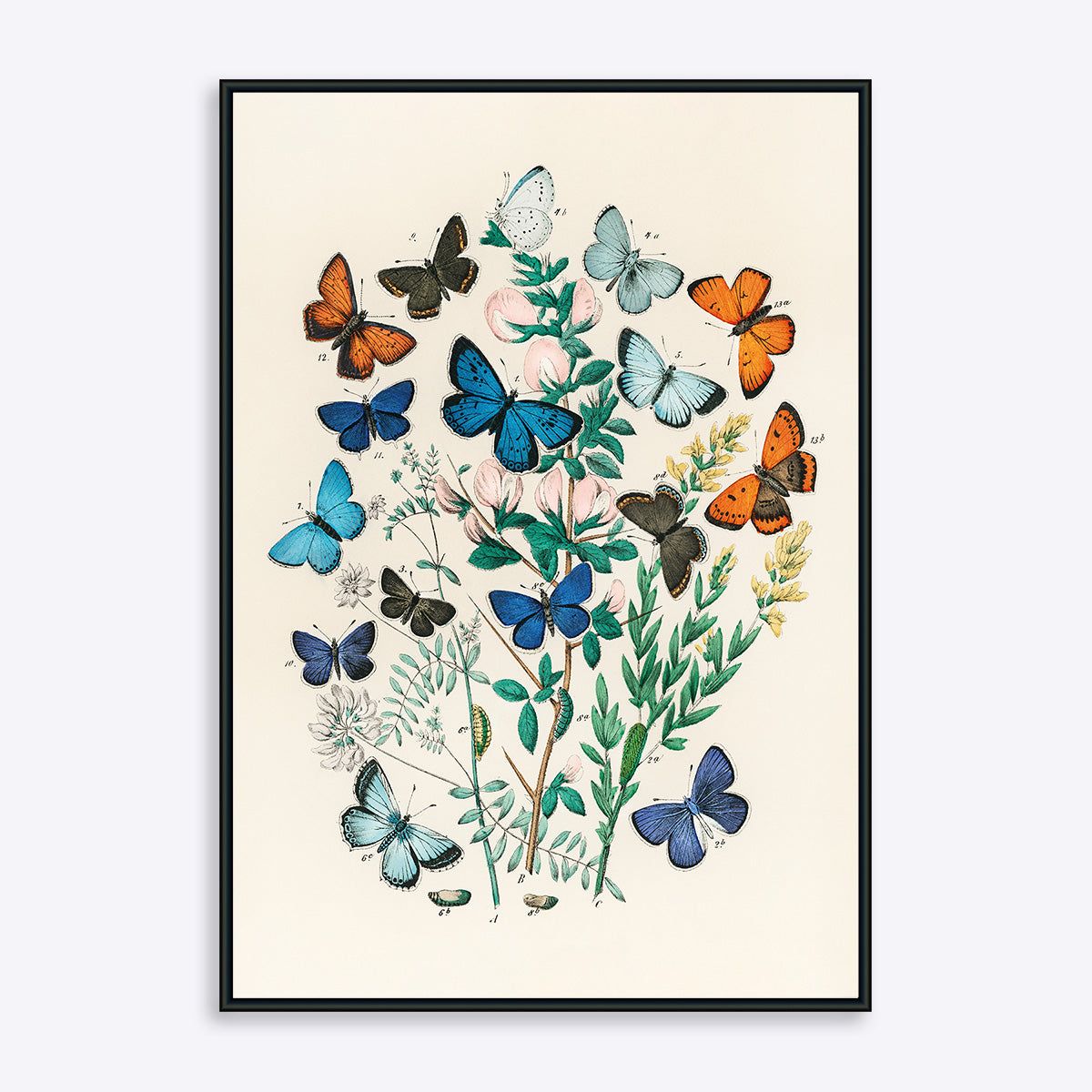 Butterflies - 30x40 cm