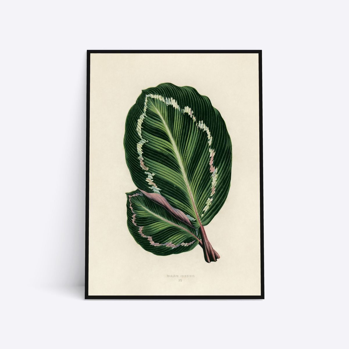 Leaves - 50x70 cm