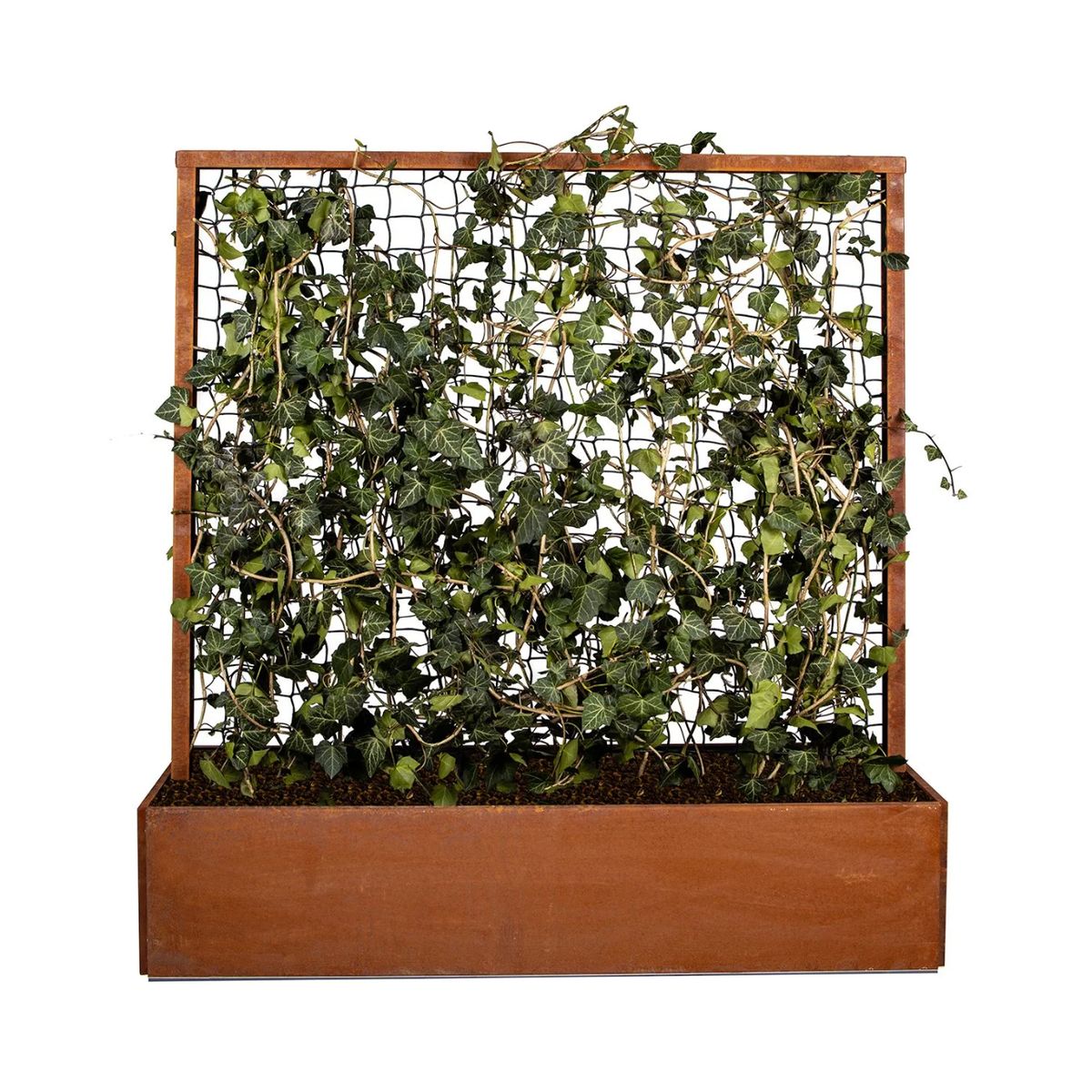 Land Modern Plantekasse med espalier i Corten - 180 cm