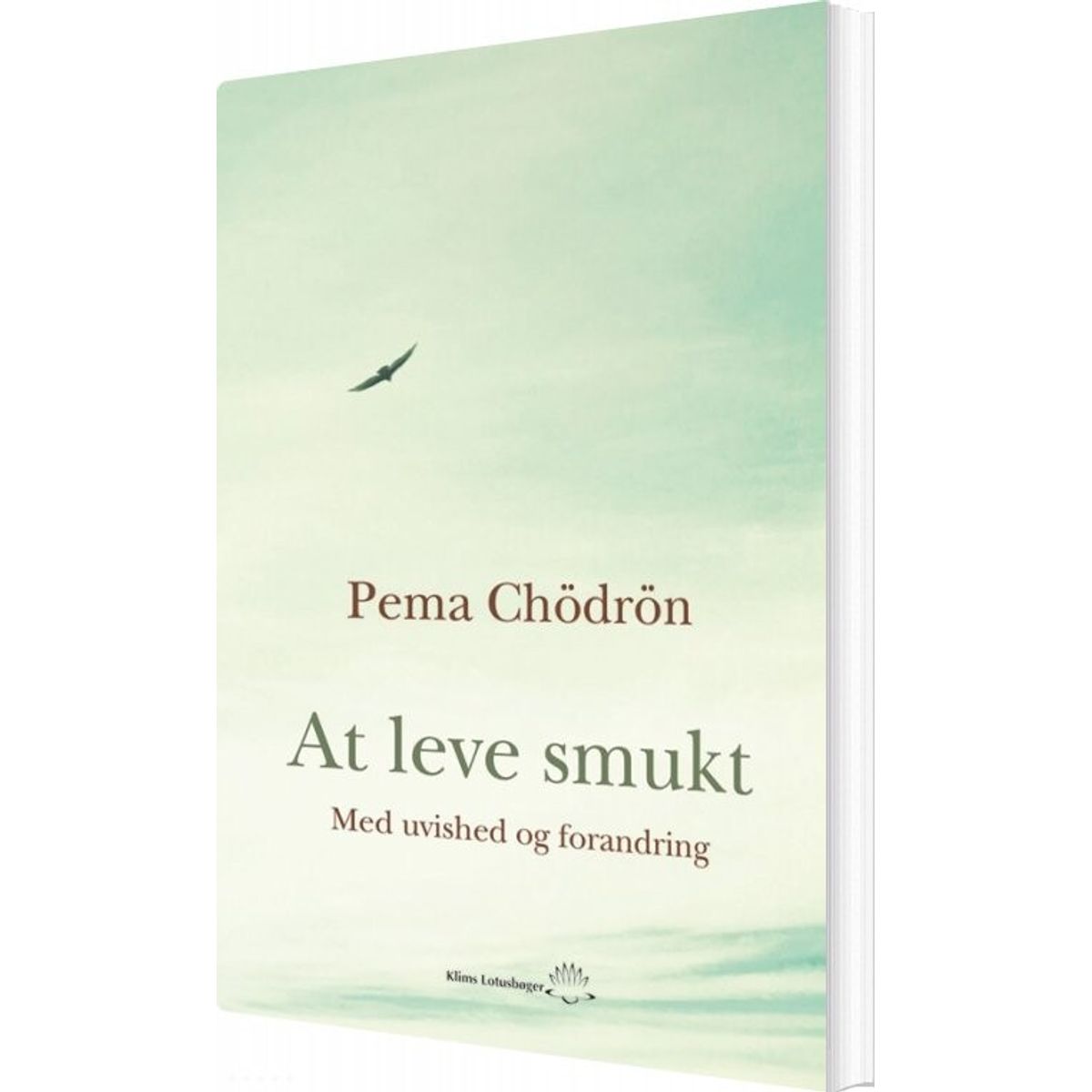 At Leve Smukt - Pema Chödrön - Bog