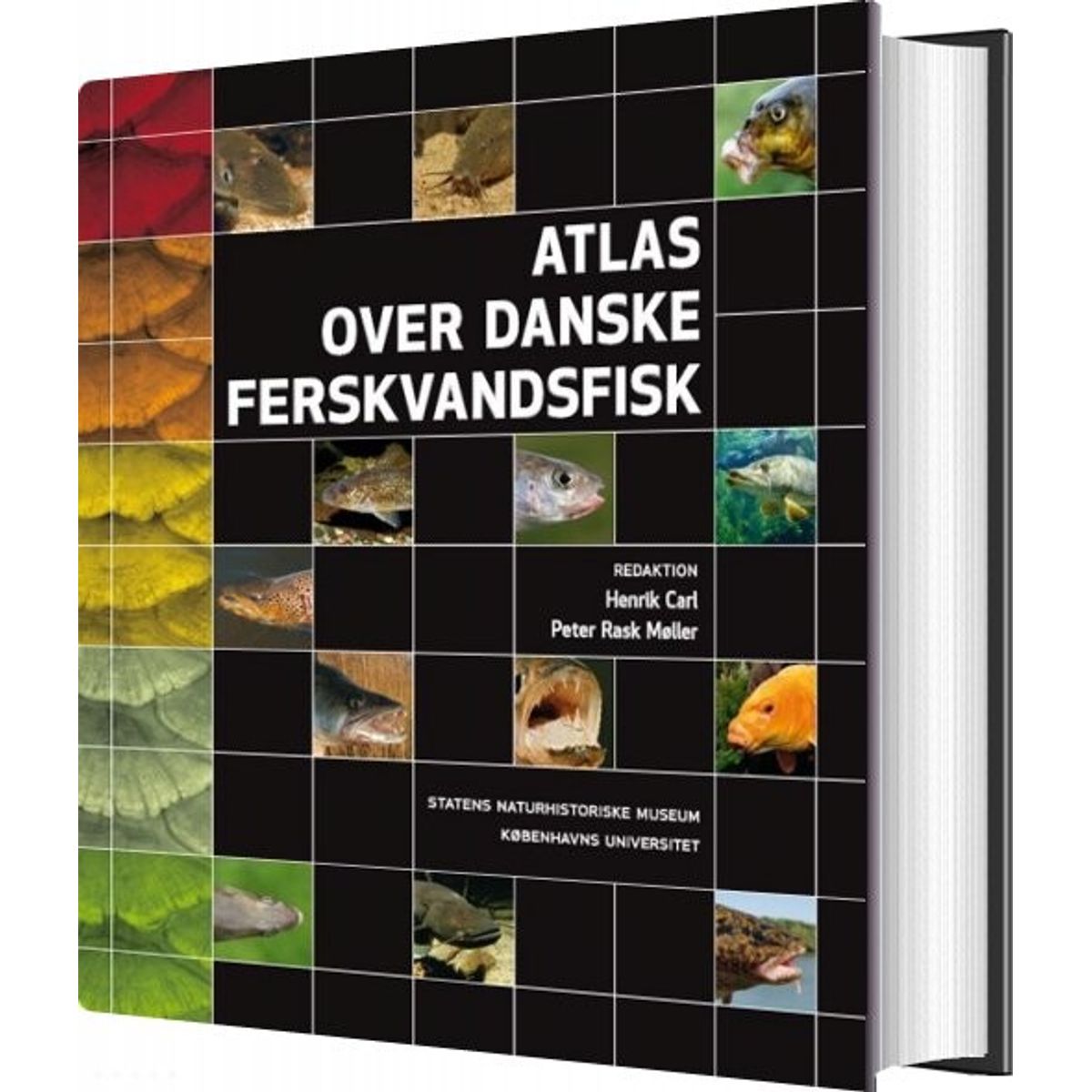 Atlas Over Danske Ferskvandsfisk - Henrik Carl - Bog