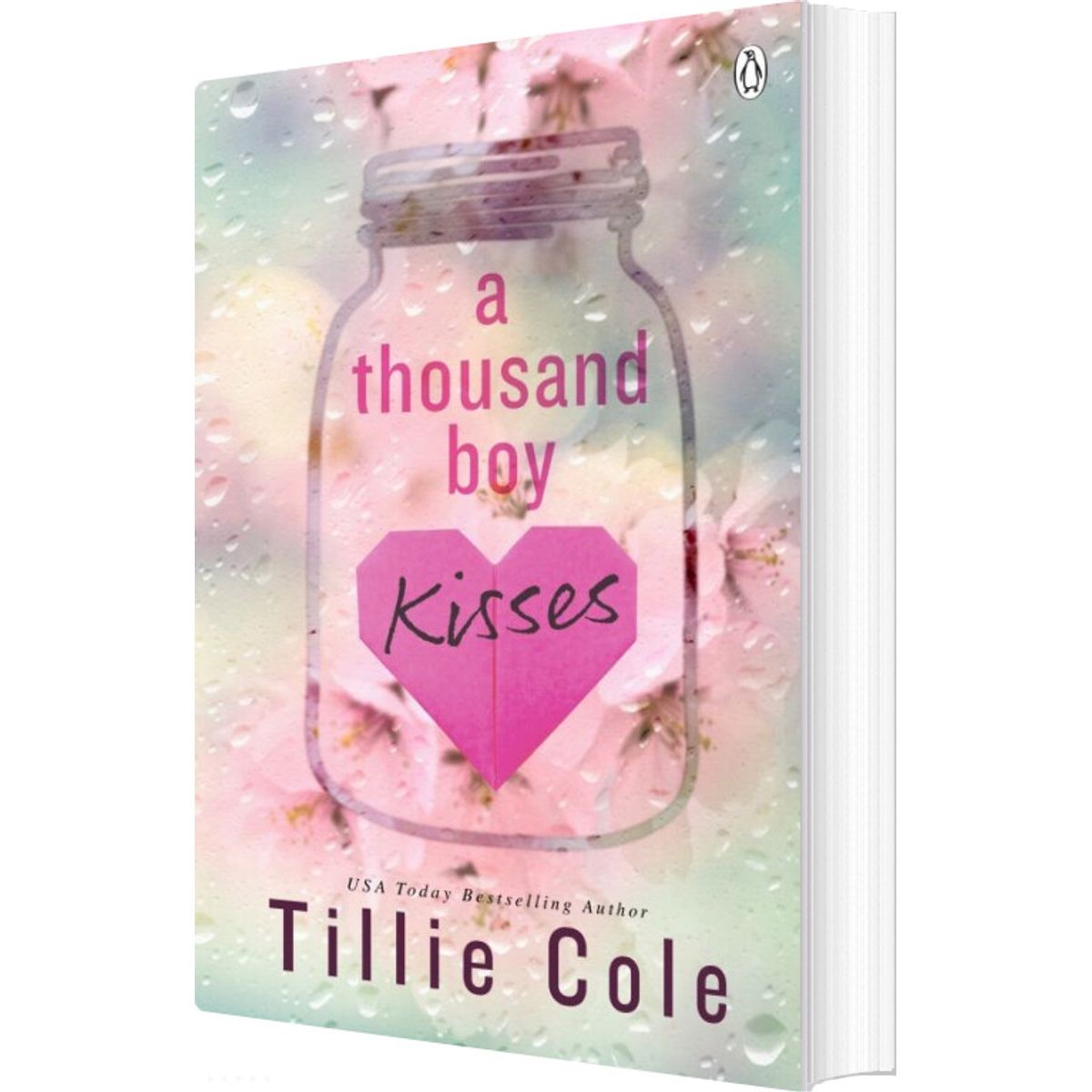 A Thousand Boy Kisses - Tillie Cole - English Book