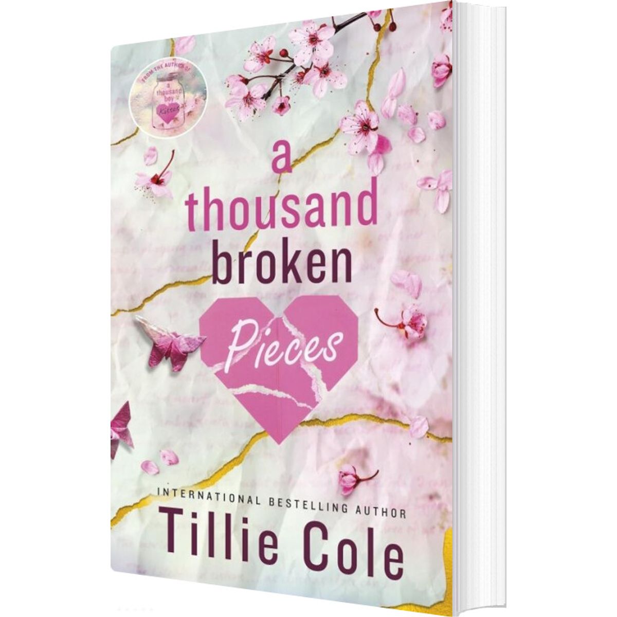 A Thousand Broken Pieces - Tillie Cole - English Book