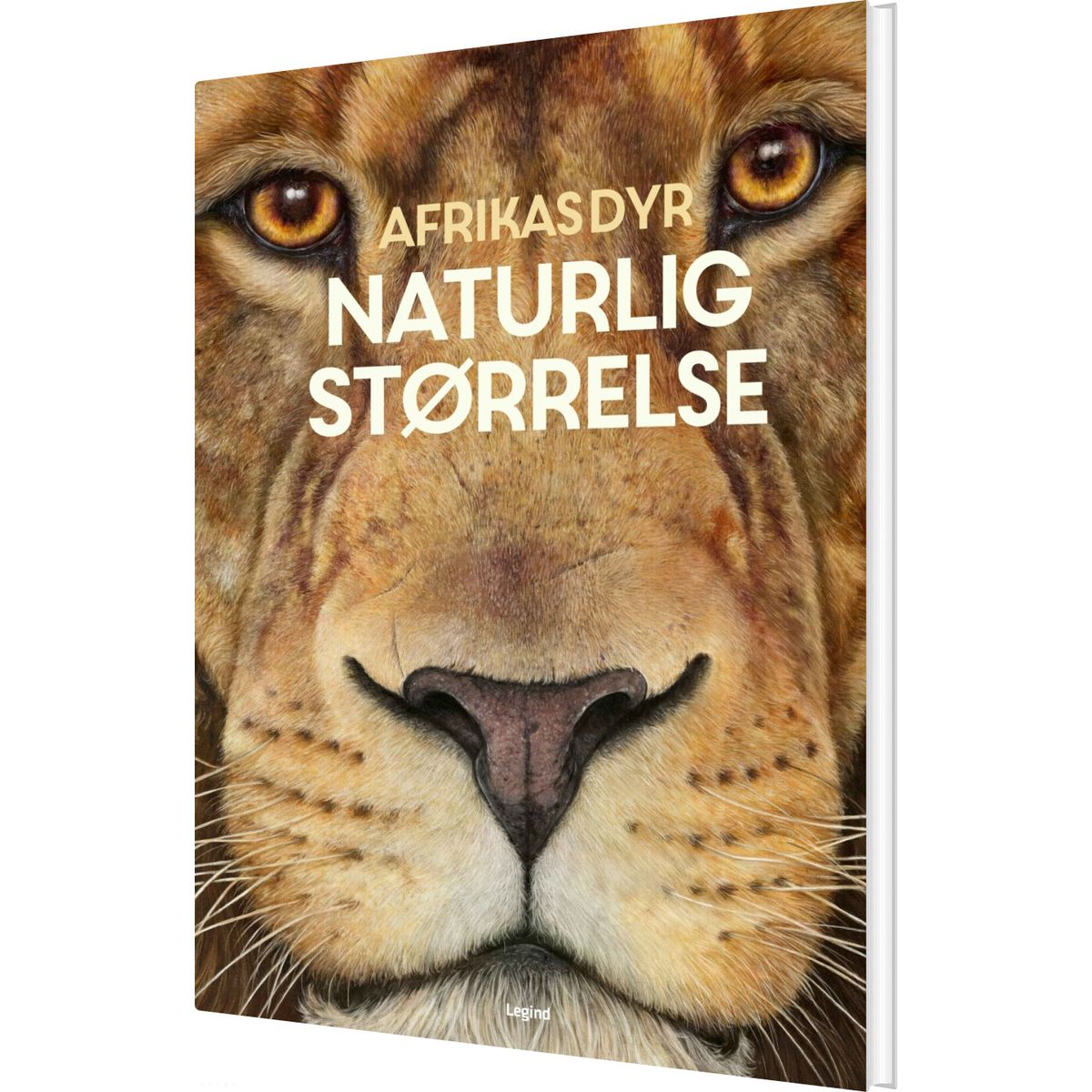 Afrikas Dyr - I Naturlig Størrelse - Holger Haag - Bog