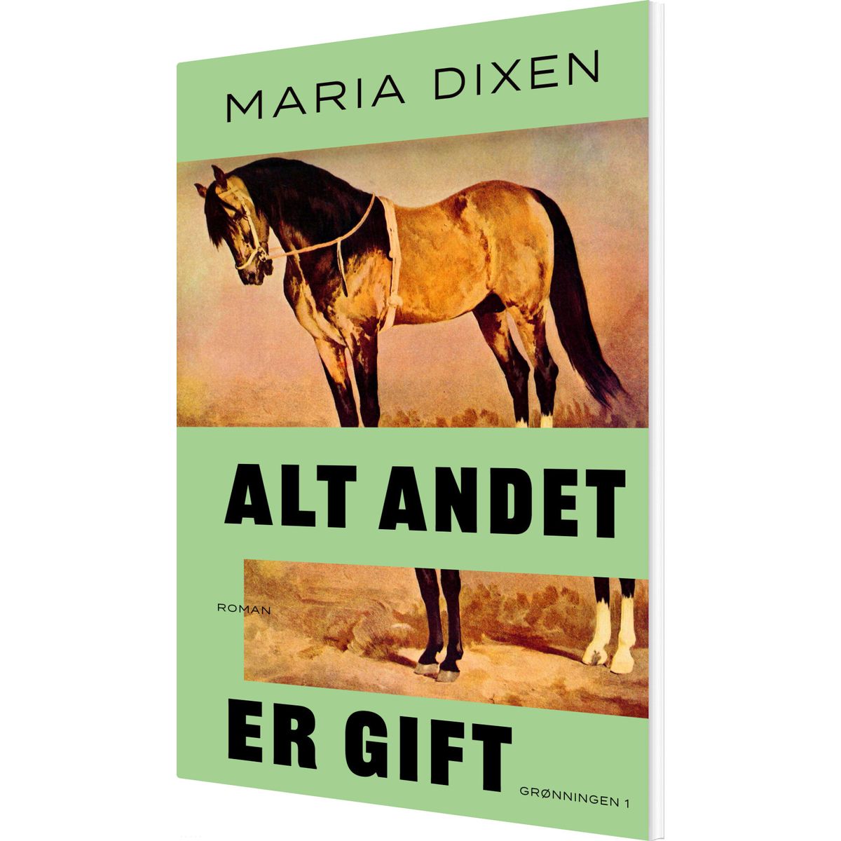 Alt Andet Er Gift - Maria Dixen - Bog