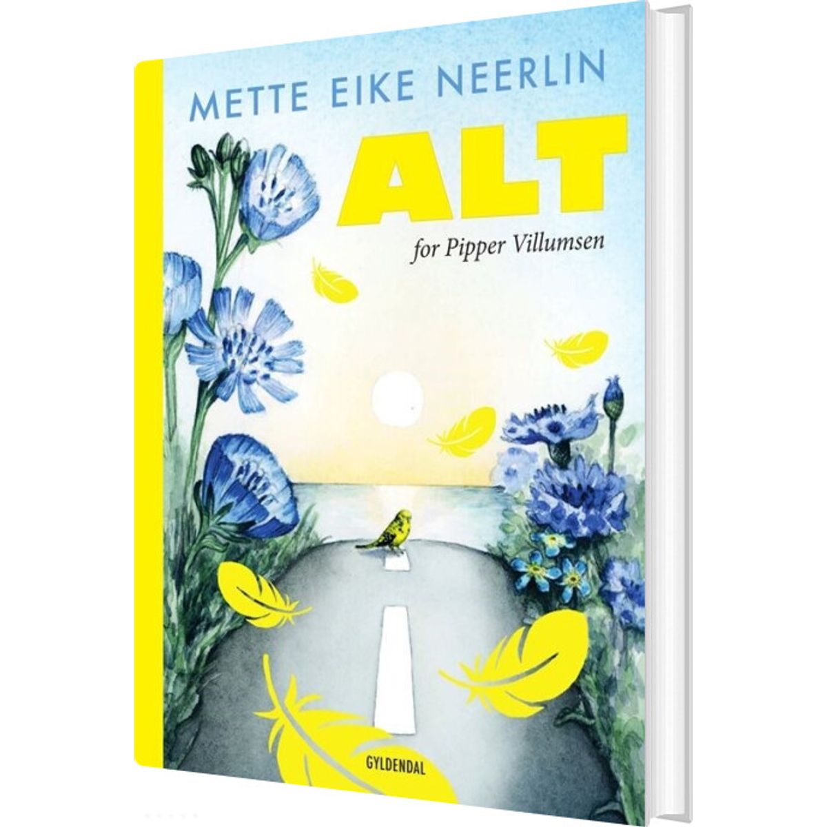 Alt For Pipper Villumsen - Mette Eike Neerlin - Bog