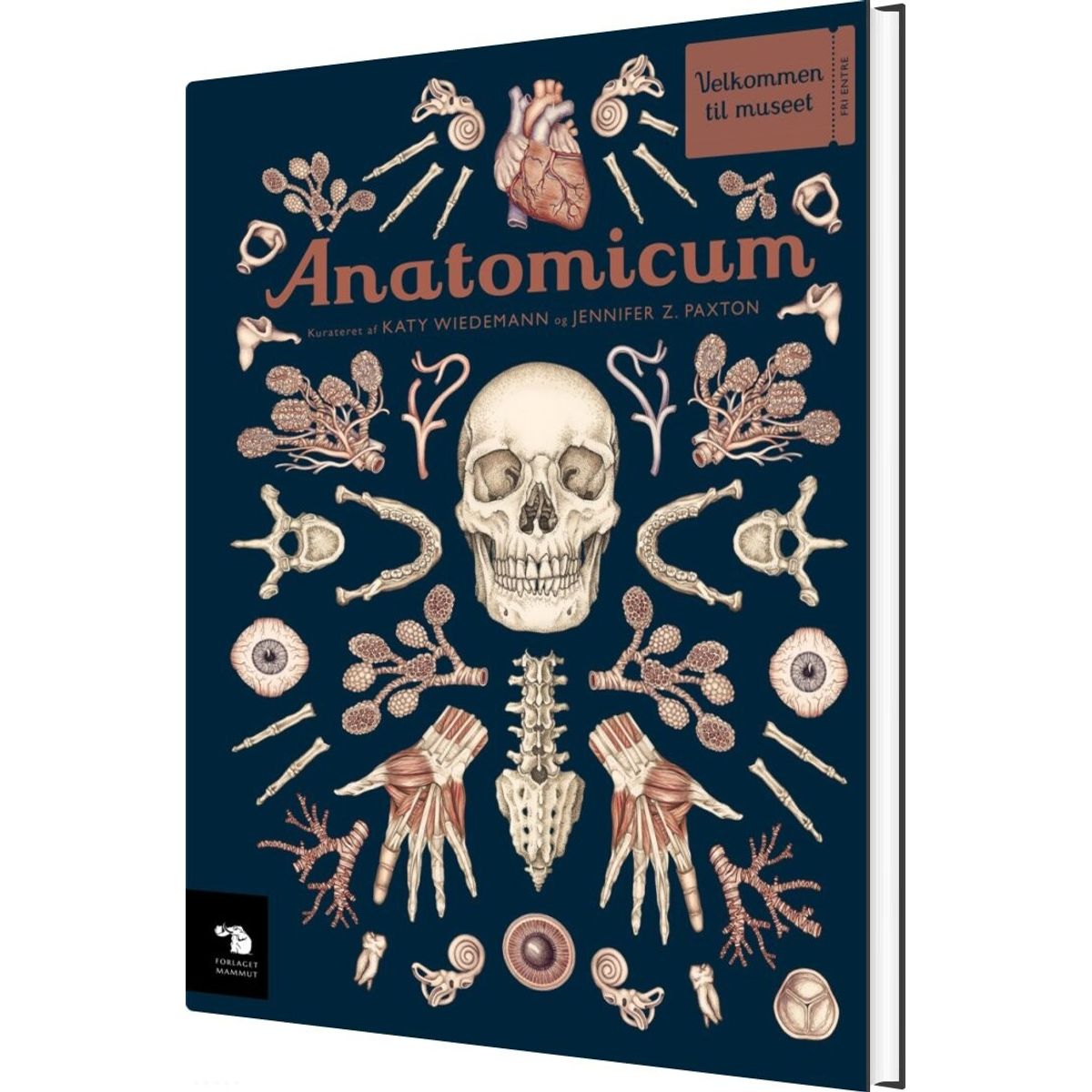 Anatomicum - Katy Wiedemann - Bog