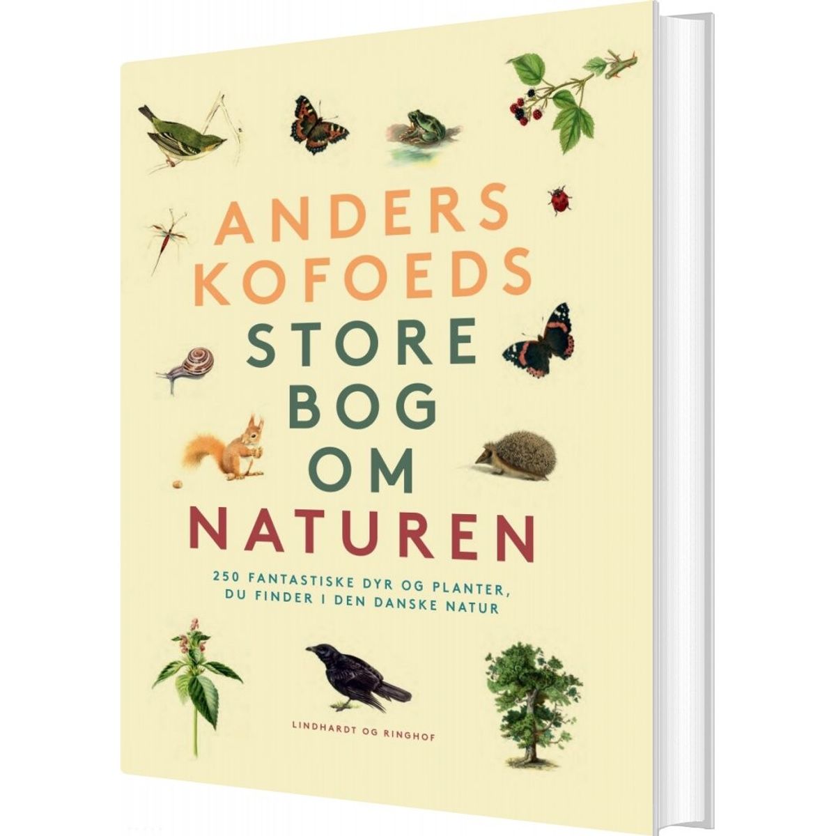 Anders Kofoeds Store Bog Om Naturen - Anders Kofoed - Bog