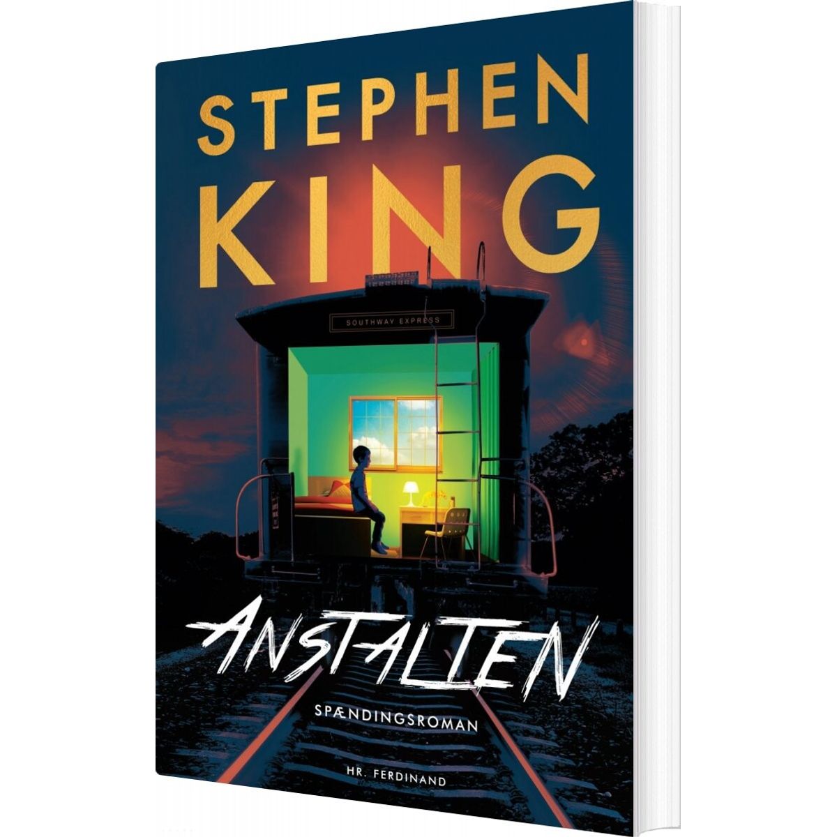 Anstalten - Stephen King - Bog