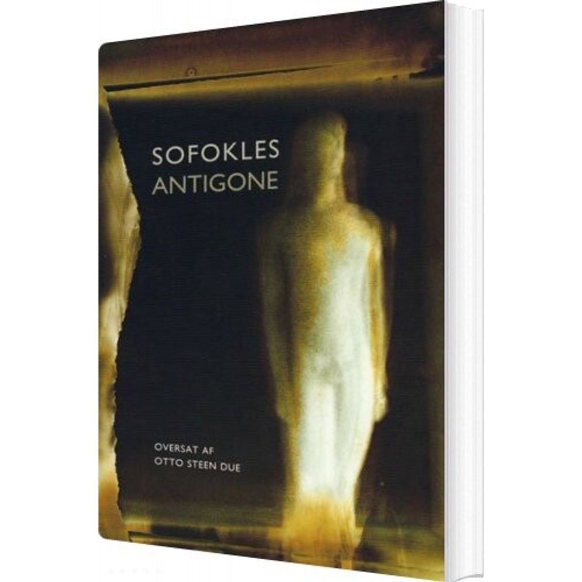 Antigone - Sofokles - Bog