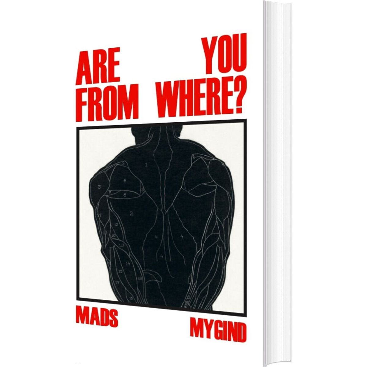 Are You From Where? - Mads Mygind - Bog