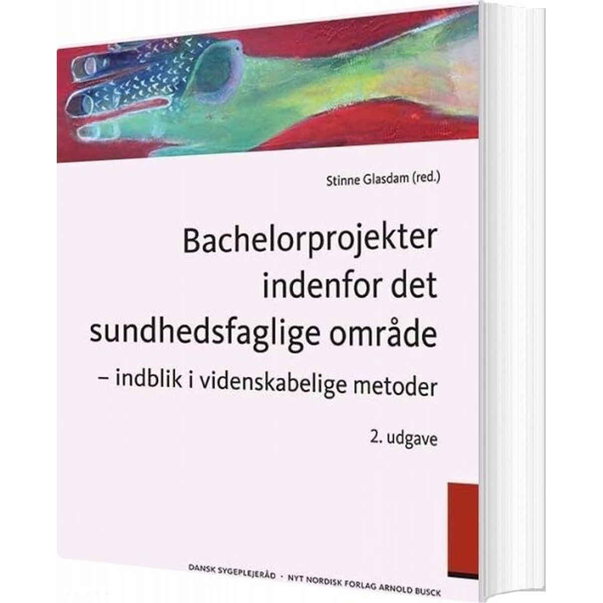 Bachelorprojekter Indenfor Det Sundhedsfaglige Område - Helle Winther - Bog