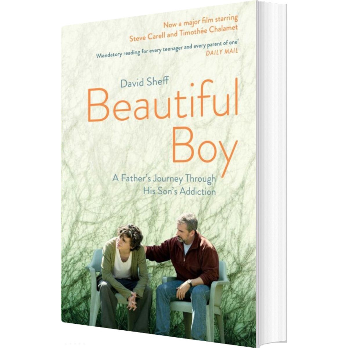 Beautiful Boy - David Sheff - English Book