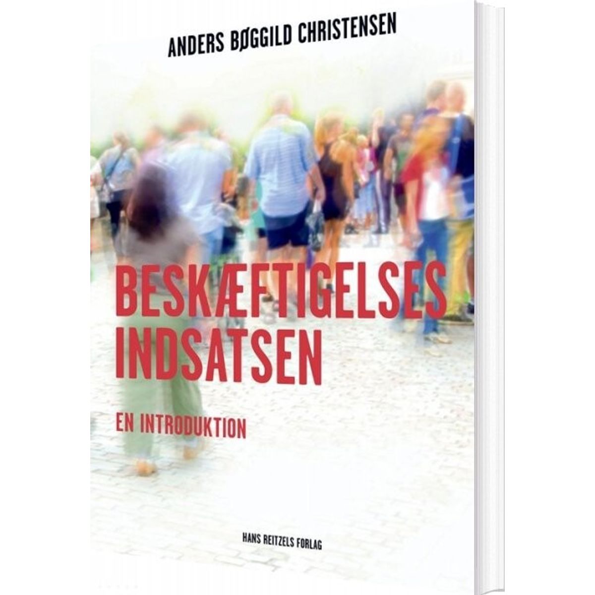 Beskæftigelsesindsatsen - Anders Bøggild Christensen - Bog