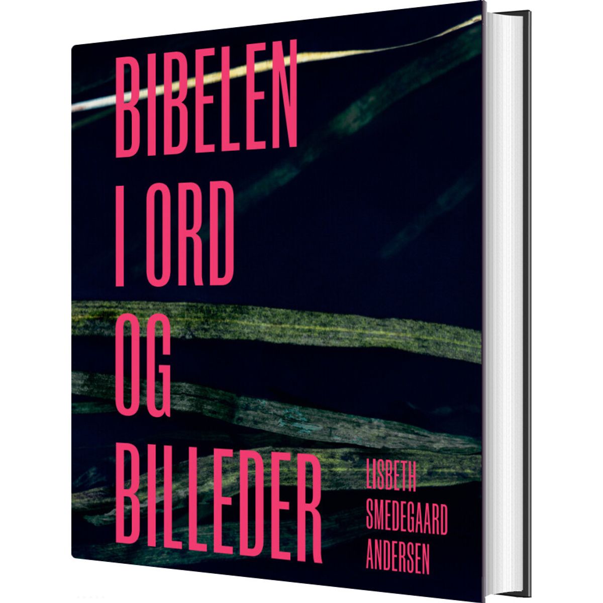 Bibelen I Ord Og Billeder - Lisbeth Smedegaard Andersen - Bog