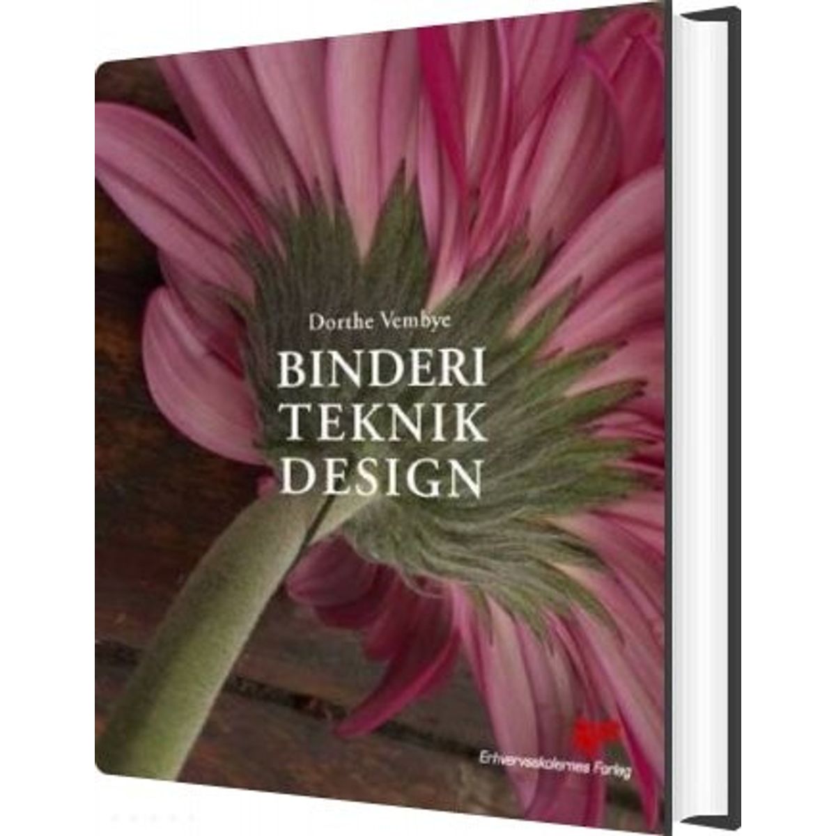 Binderi, Teknik, Design - Dorthe Vembye - Bog