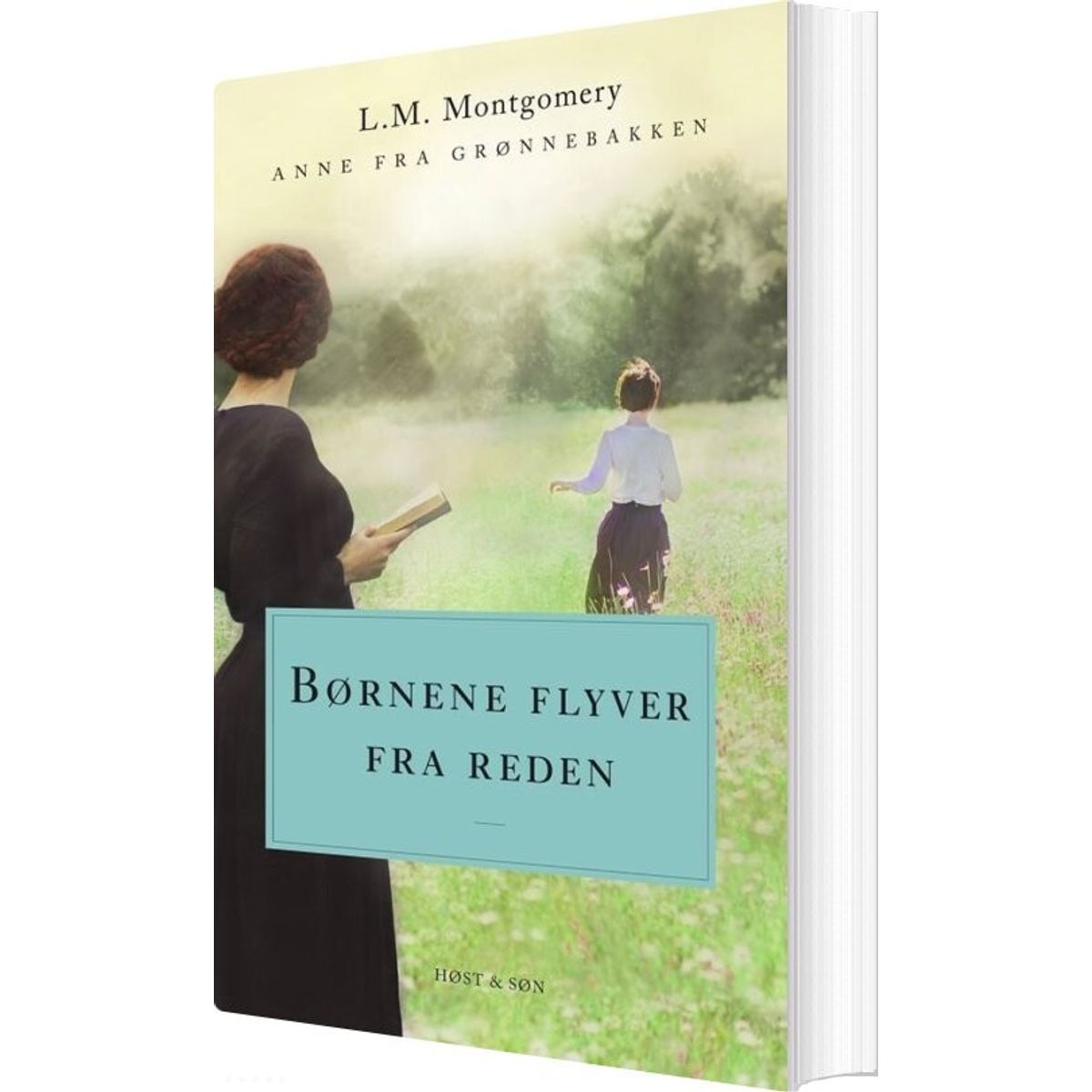 Børnene Flyver Fra Reden. Anne Fra Grønnebakken 8 - L.m. Montgomery - Bog