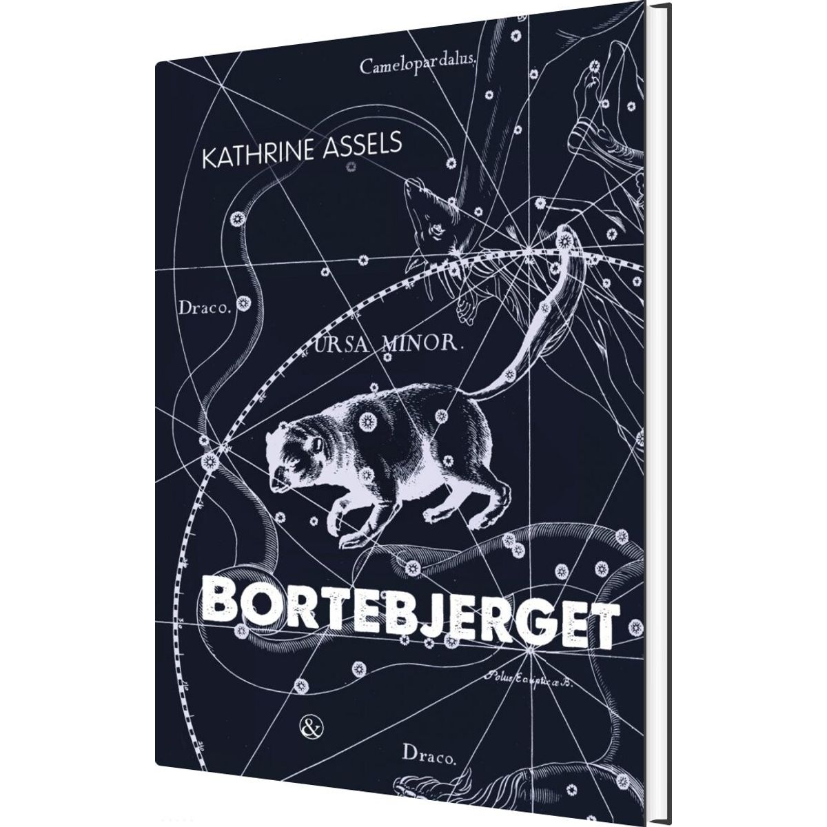 Bortebjerget - Kathrine Assels - Bog