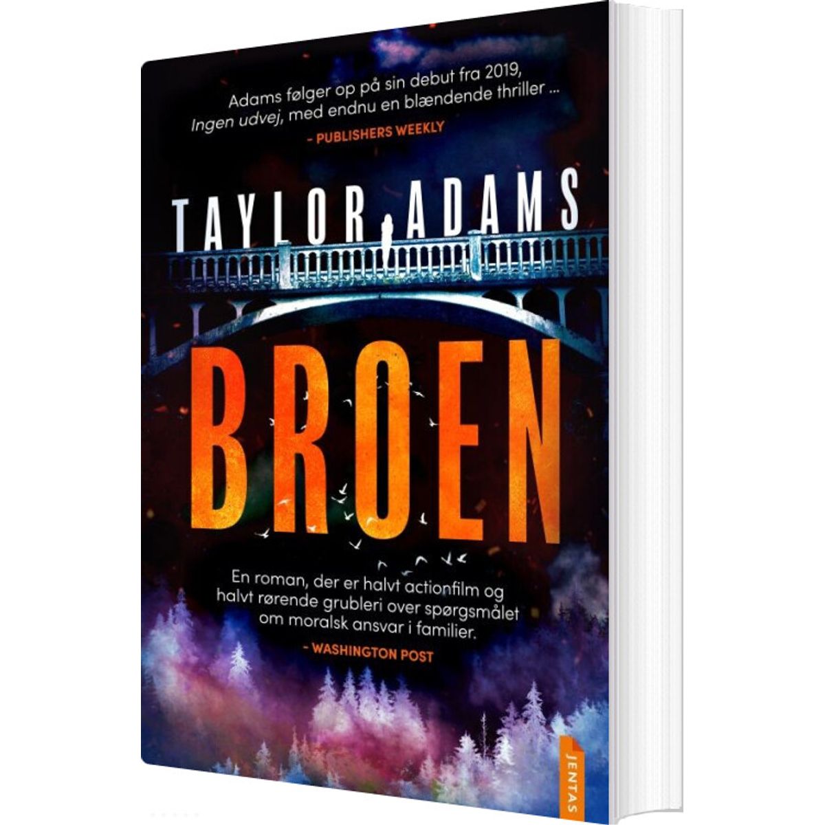 Broen - Taylor Adams - Bog