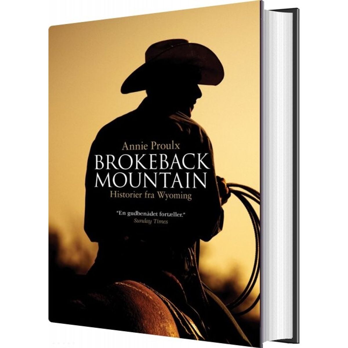 Brokeback Mountain - Historier Fra Wyoming - Annie Proulx - Bog