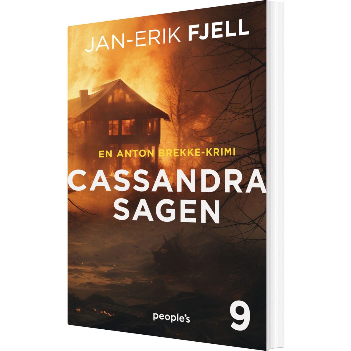 Cassandra-sagen - Jan-erik Fjell - Bog