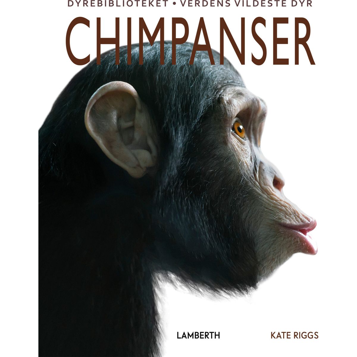 Chimpanser - Kate Riggs - Bog