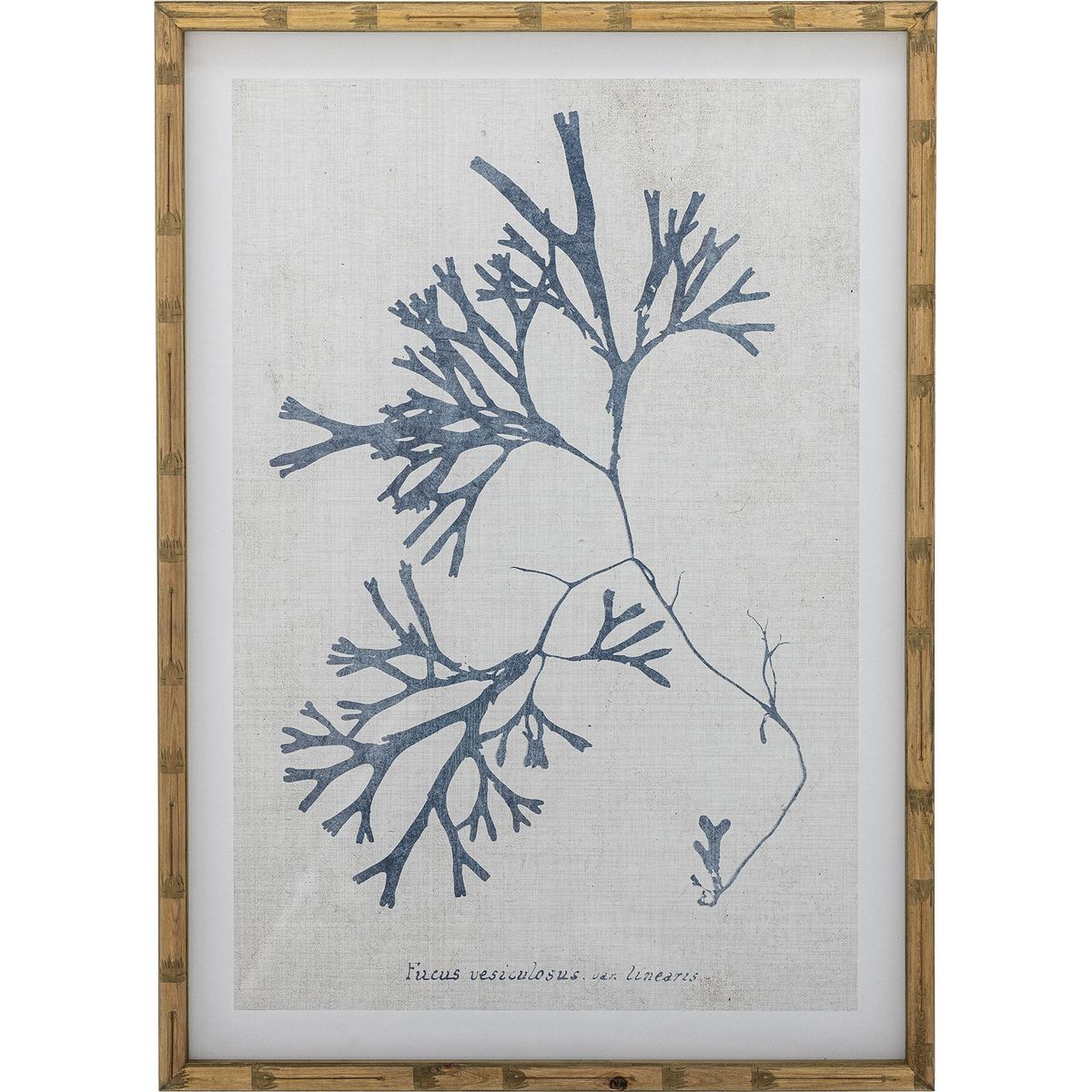 Creative Collection - Sumner Illustration Med Ramme - Natur - Fyrretræ