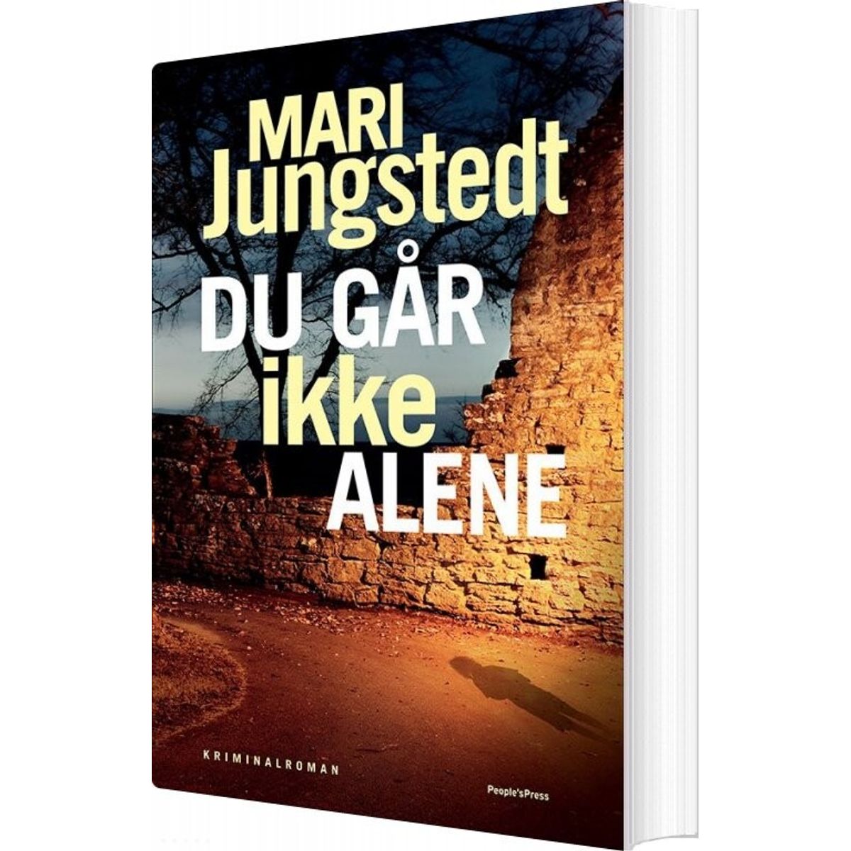 Du Går Ikke Alene - Mari Jungstedt - Bog