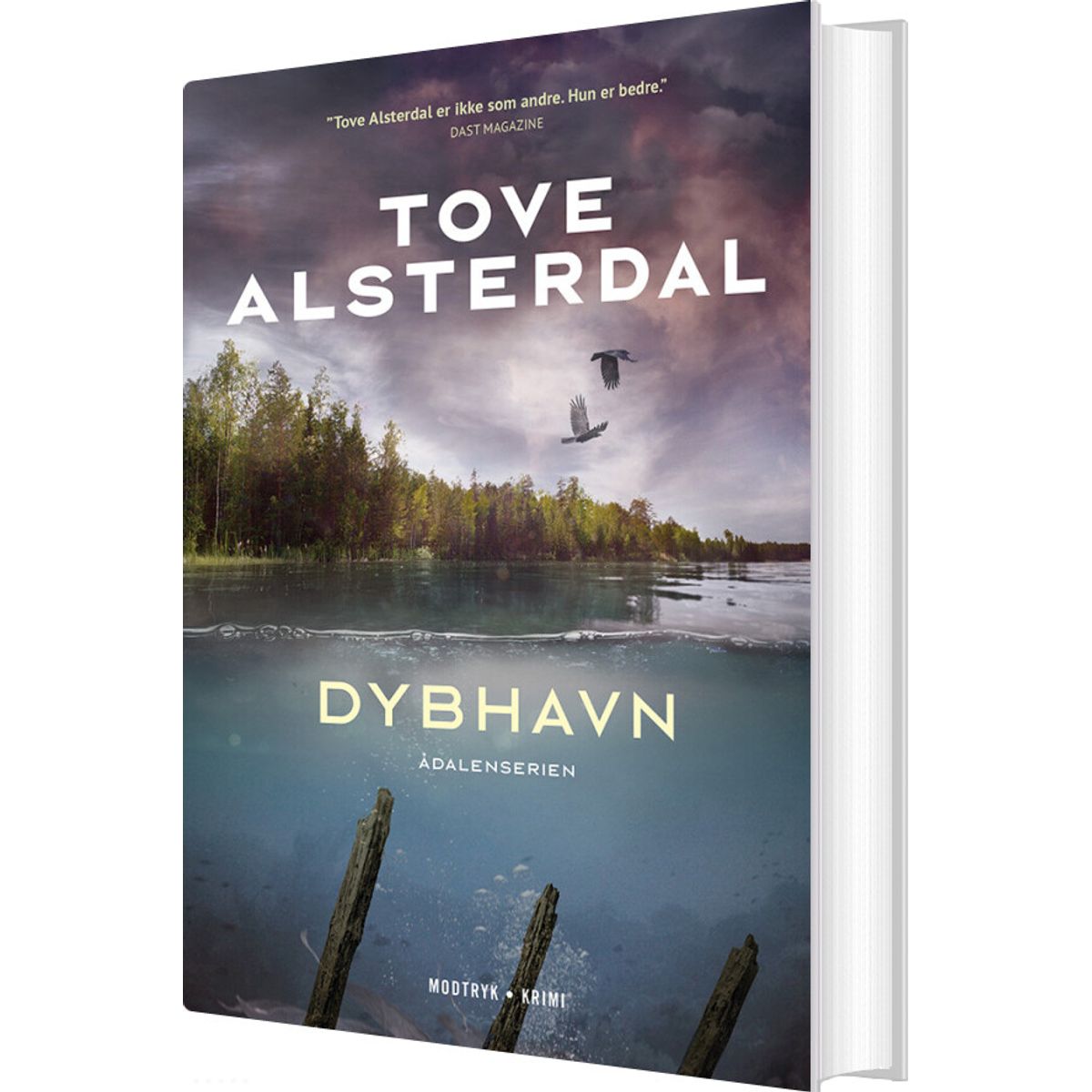 Dybhavn - Tove Alsterdal - Bog