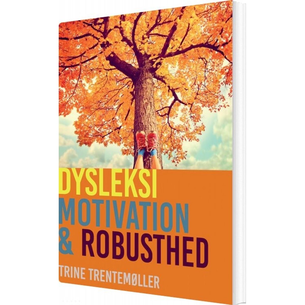 Dysleksi, Motivation Og Robusthed - Trentemøller - Bog