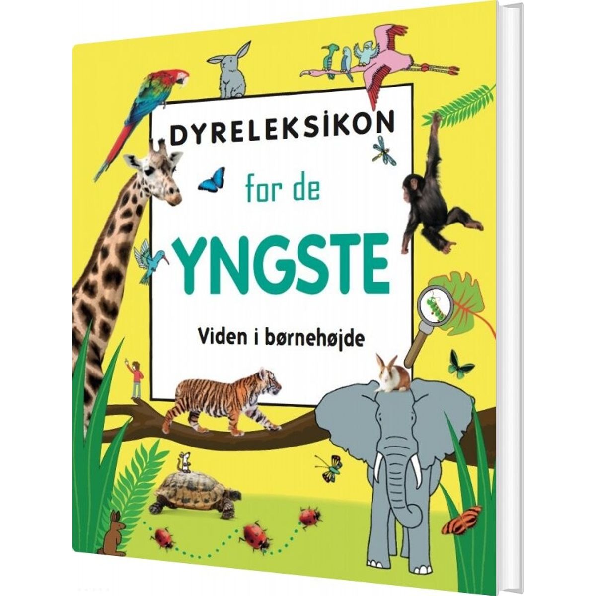 Dyreleksikon For De Yngste - Diverse - Bog