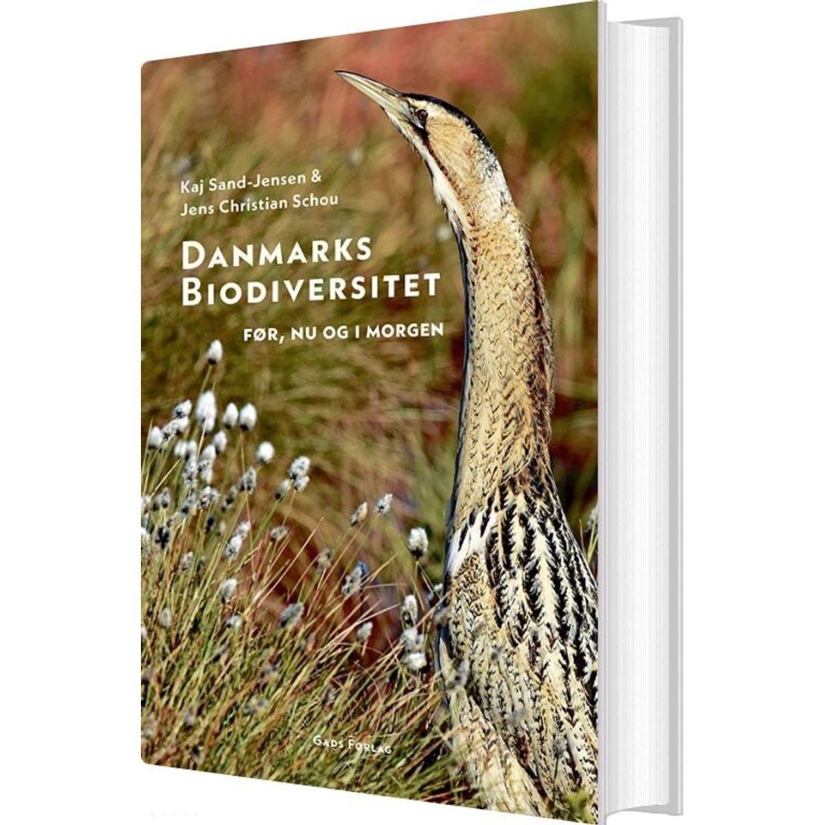 Danmarks Biodiversitet - Kaj Sand-jensen - Bog