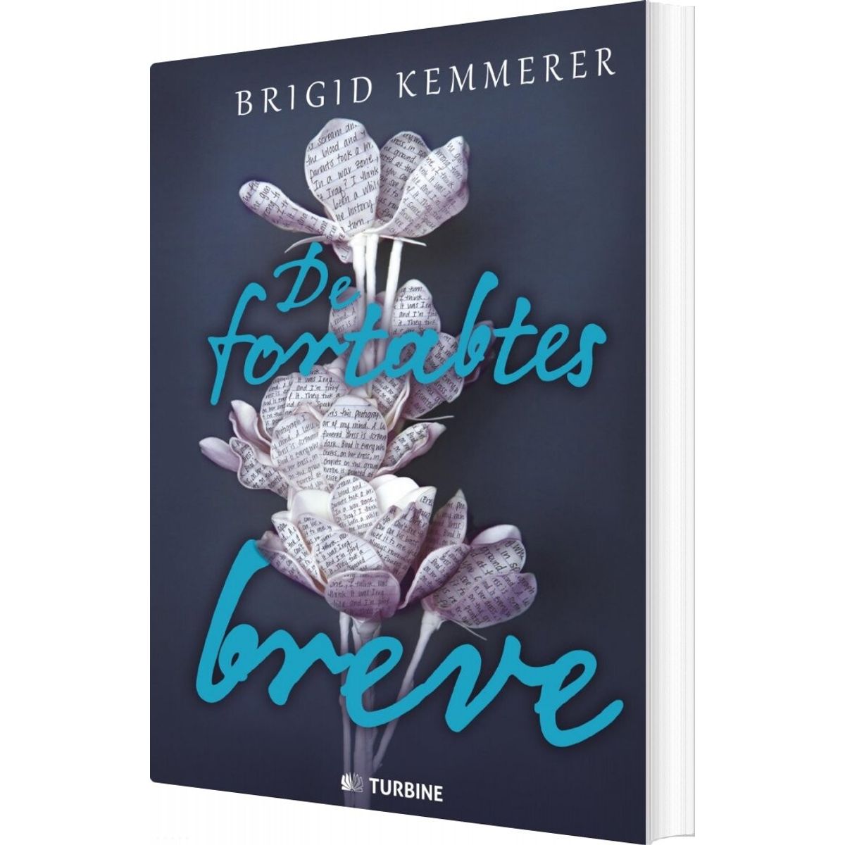 De Fortabtes Breve - Brigid Kemmerer - Bog