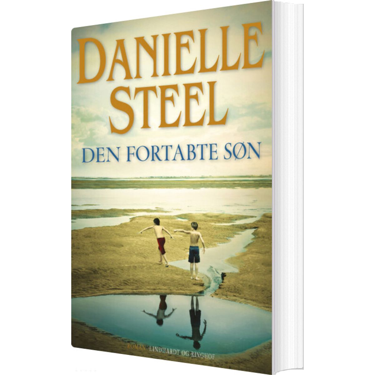 Den Fortabte Søn - Danielle Steel - Bog