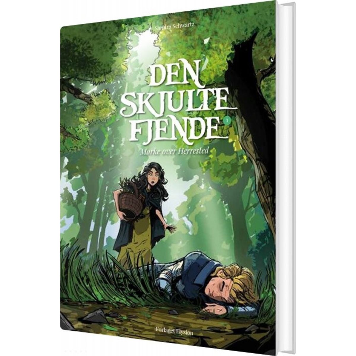 Den Skjulte Fjende - Sandra Schwartz - Bog