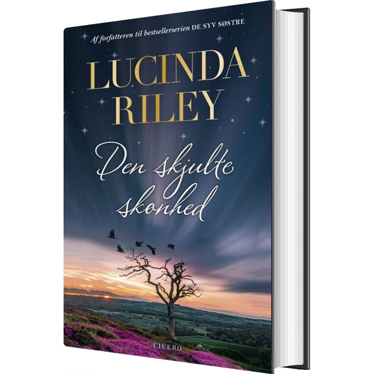 Den Skjulte Skønhed - Lucinda Riley - Bog