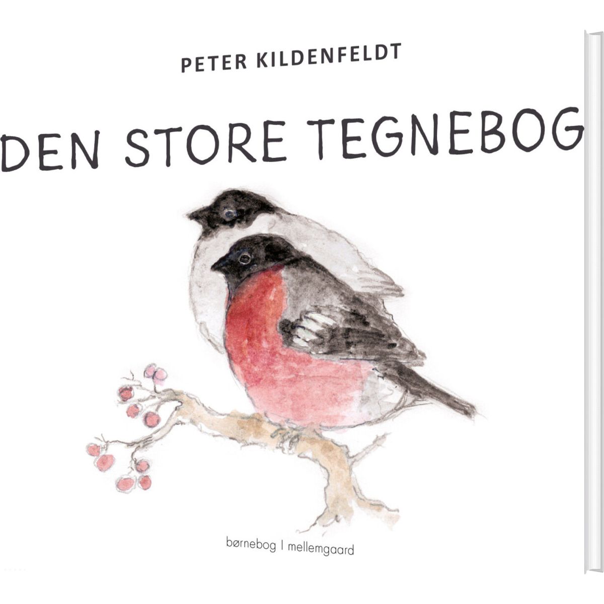 Den Store Tegnebog - Peter Kildenfeldt - Bog